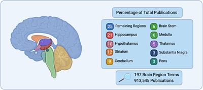 Frontiers | The Hidden Brain: Uncovering Previously Overlooked Brain ...